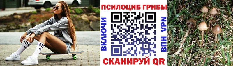 omg рабочий сайт Плёс Галлюциногенные грибы Magic Shrooms