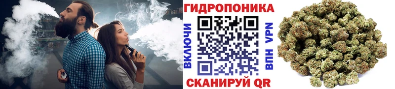 цена наркотик  Плёс  Канабис план 
